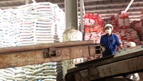 Dự kiến tăng lương tối thiểu vùng lên 900.000 đồng/tháng từ năm 2026