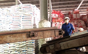 Dự kiến tăng lương tối thiểu vùng lên 900.000 đồng/tháng từ năm 2026