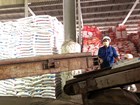 Dự kiến tăng lương tối thiểu vùng lên 900.000 đồng/tháng từ năm 2026