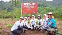 Dấu ấn trồng 1000 cây xanh cho Hành trình 20 năm Taseco 