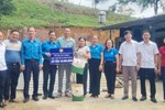 Lan tỏa từ những cánh rừng nguyên liệu giấy