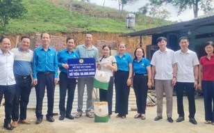 Lan tỏa từ những cánh rừng nguyên liệu giấy