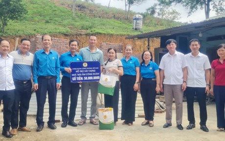 Lan tỏa từ những cánh rừng nguyên liệu giấy