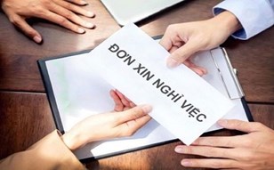 Công chức tự nguyện xin nghỉ hoặc bị cho thôi việc được hưởng chế độ, chính sách nào?