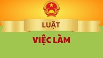 10 điểm mới của Luật Việc làm 2025 sẽ có hiệu lực từ 1.1.2026