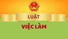 10 điểm mới của Luật Việc làm 2025 sẽ có hiệu lực từ 1.1.2026