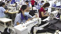 Đề xuất tham gia bảo hiểm tai nạn lao động đối với người lao động đang hưởng chế độ hưu trí