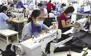 Đề xuất tham gia bảo hiểm tai nạn lao động đối với người lao động đang hưởng chế độ hưu trí