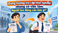 Đang hưởng trợ cấp thất nghiệp nhưng có việc làm: Người lao động cần làm gì?