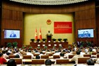 Quán triệt, triển khai thực hiện Nghị quyết Hội nghị lần thứ 11 Ban Chấp hành Trung ương Đảng khóa XIII