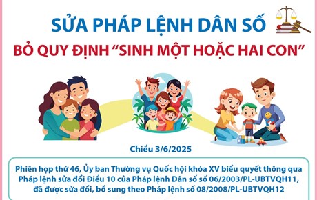 Vợ chồng tự quyết định số con và thời gian sinh con 